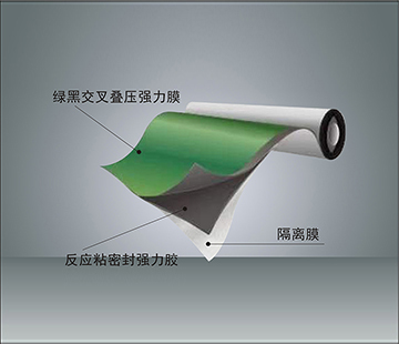 反應粘結型高分子濕鋪防水卷材